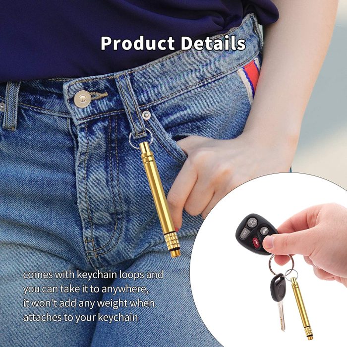 2 Pieces Portable Titanium Toothpicks Keychain Brass Pocket Toothpicks with Metal Toothpick Holder for Outdoor Picnic and Camping Brass: Home & Kitchen