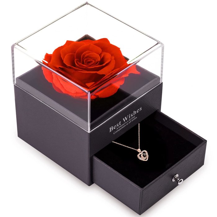 Abiwash Preserved Rose Flower with Necklace-Gifts for Girlfriend Mom Wife Her on Mothers Day Valentines Day Christmas Anniversary Birthday Gifts for Women…
